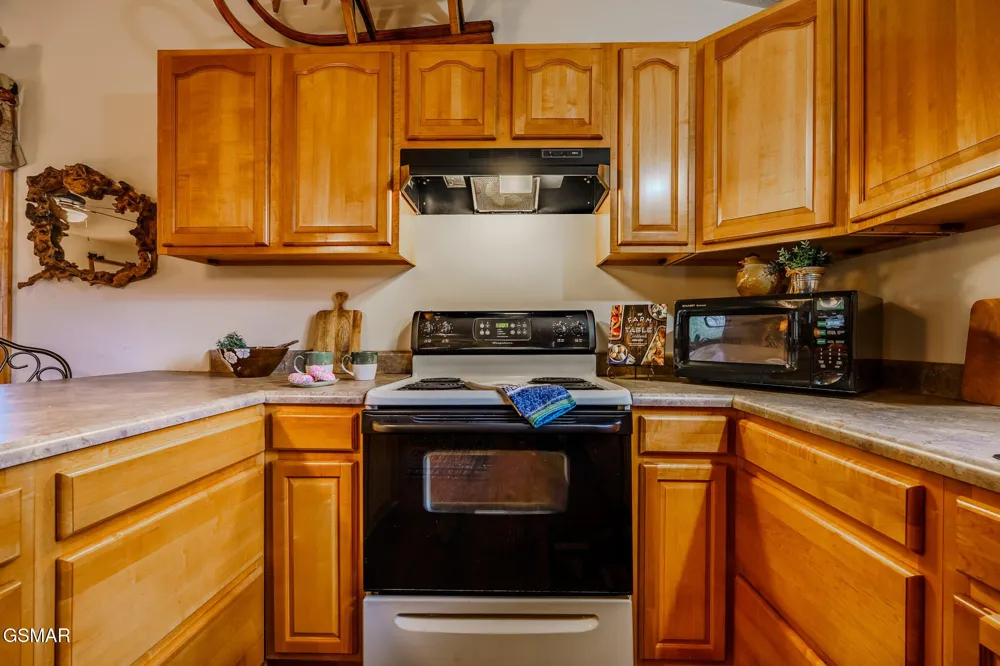 3386 Rocky Ridge Road Cosby, TN 37722