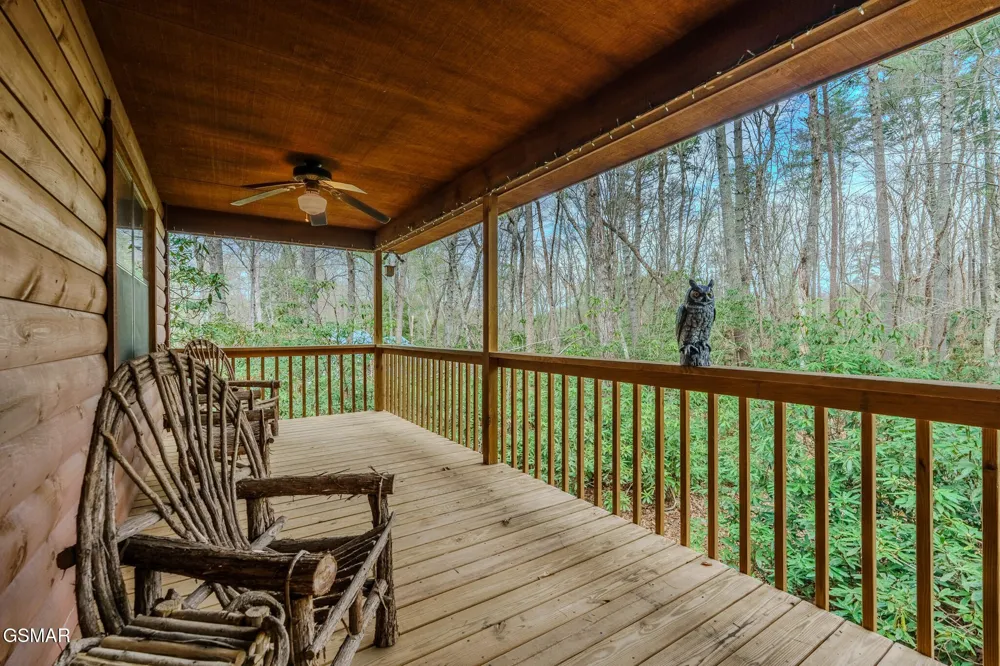 3386 Rocky Ridge Road Cosby, TN 37722