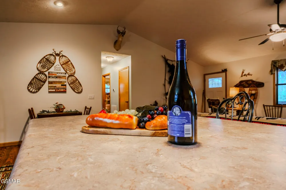 3386 Rocky Ridge Road Cosby, TN 37722