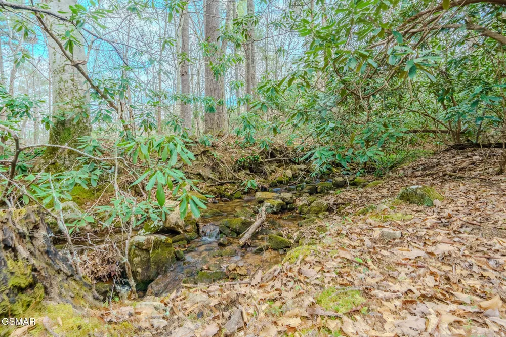 3386 Rocky Ridge Road Cosby, TN 37722