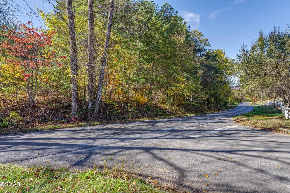 21 Green Hill Road Dandridge, TN 37725