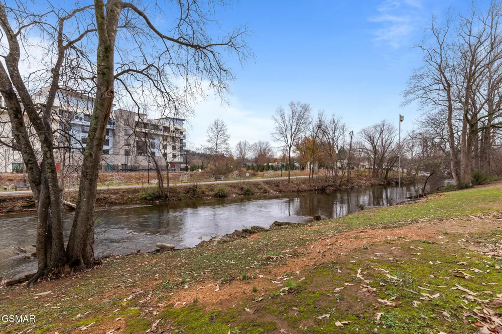 3215 N River Road #503 Pigeon Forge, TN 37863