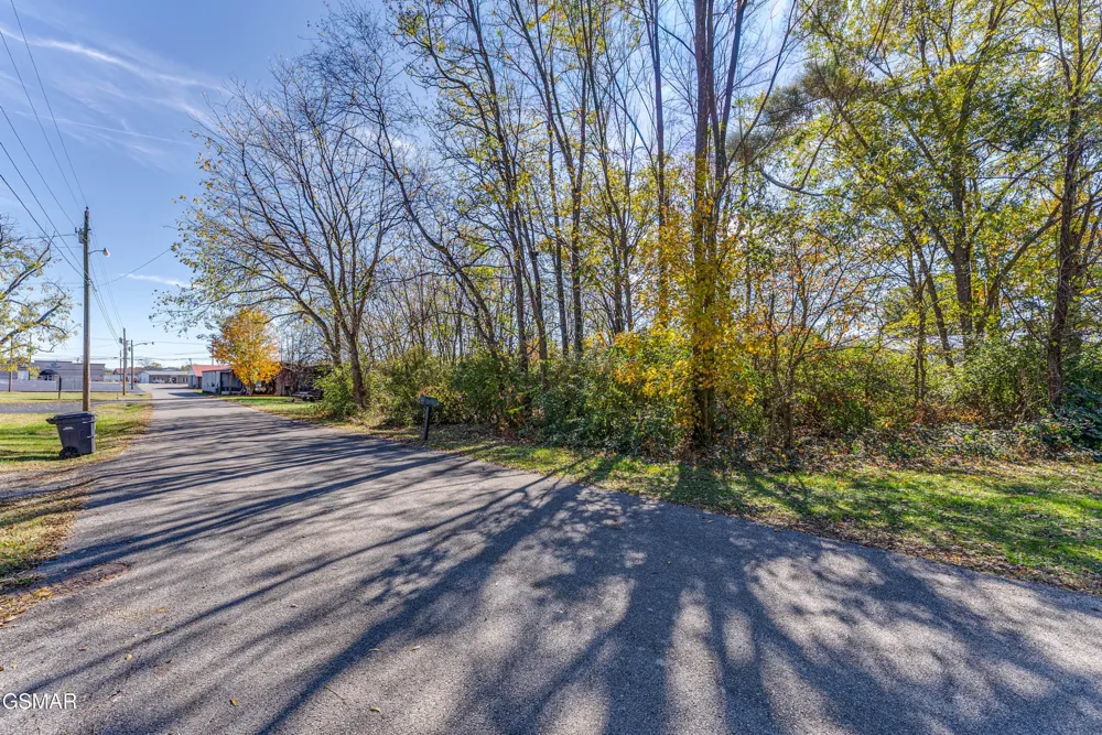 0 Creamery Street White Pine, TN 37890