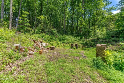 229 Sonshine Ridge Road