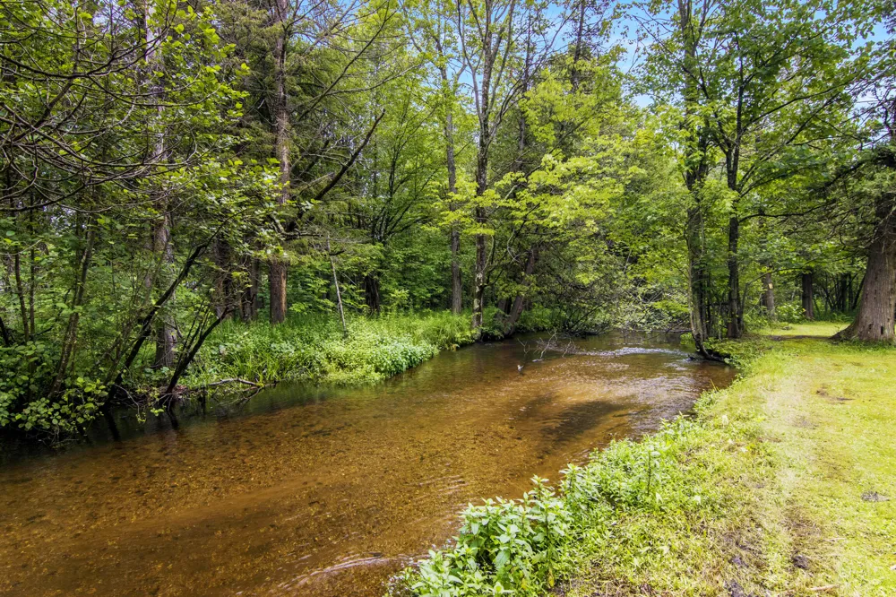 16088 Bentley Road Thompsonville, MI 49683