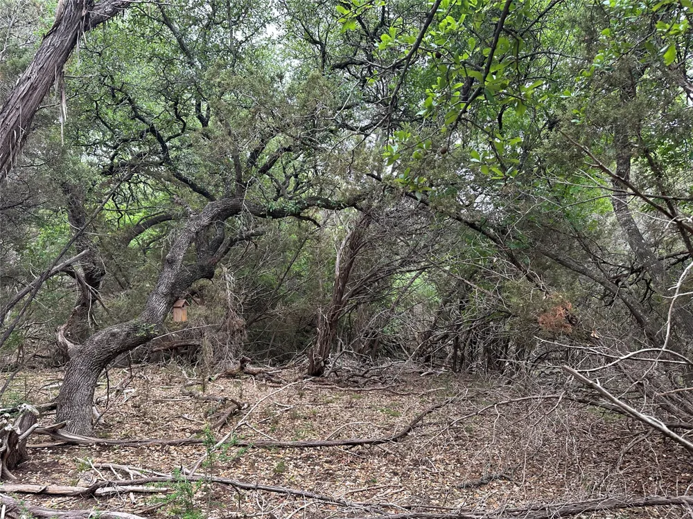 125 Hillcrest Drive Gatesville, TX 76528