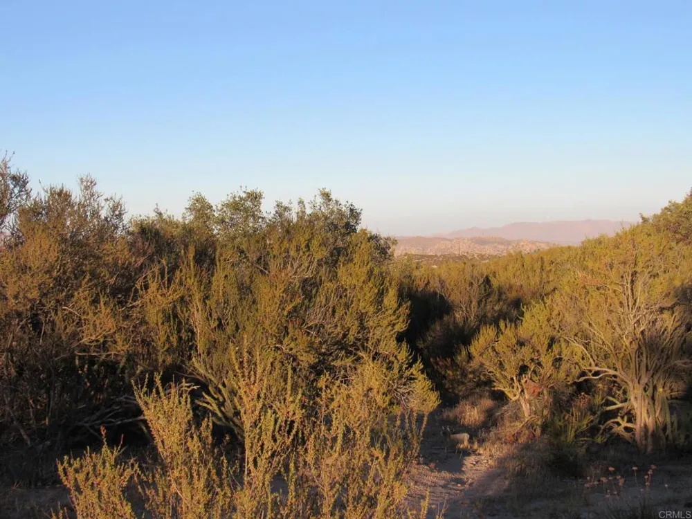 19 Tierra del Sol and Hwy 94 Boulevard, CA 91905