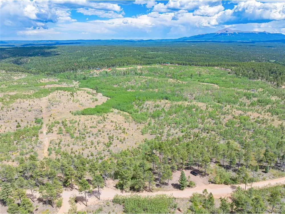 2 County Road 51 Florissant, CO 80816