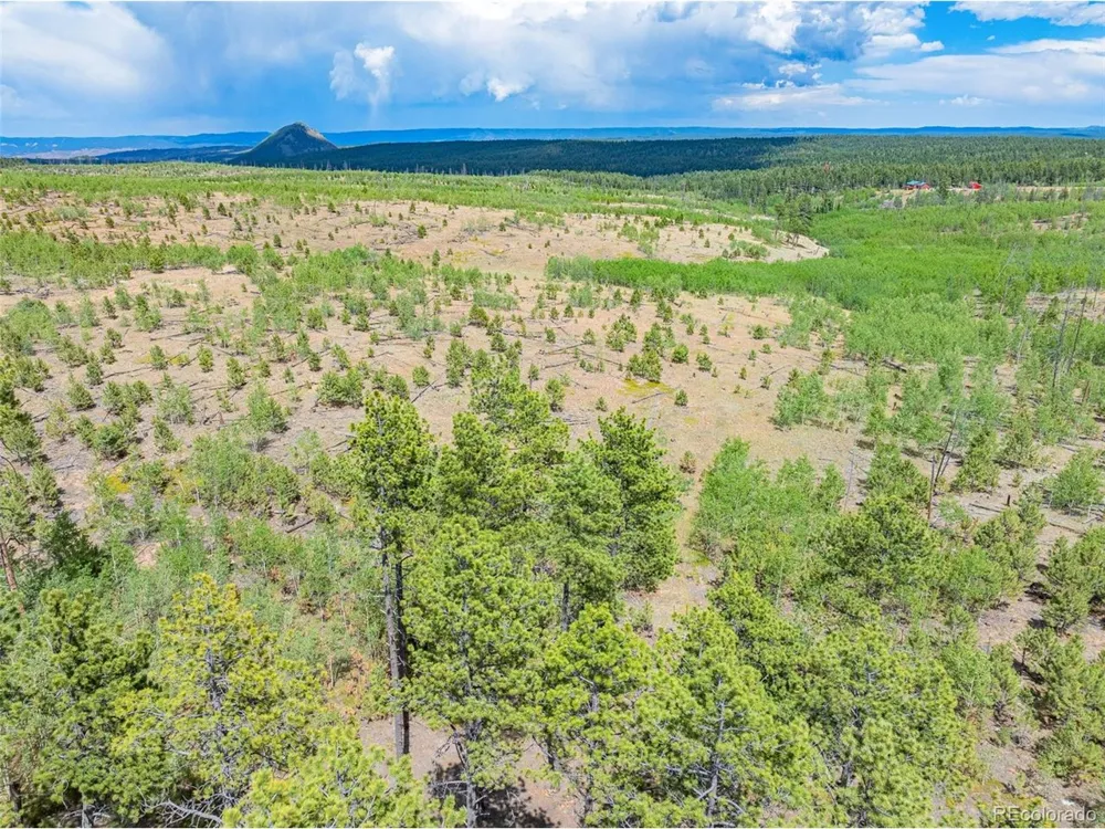 2 County Road 51 Florissant, CO 80816