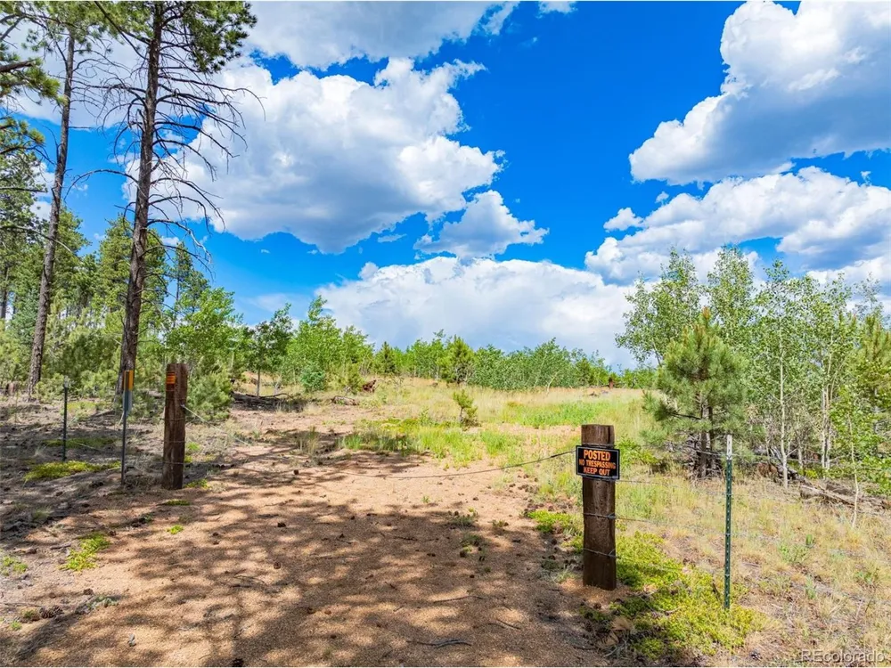 2 County Road 51 Florissant, CO 80816