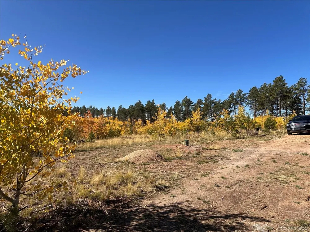 2 County Road 51 Florissant, CO 80816