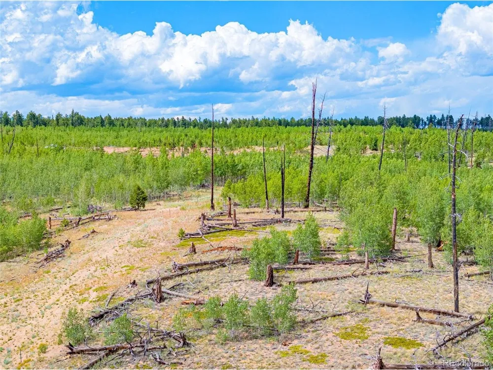 2 County Road 51 Florissant, CO 80816