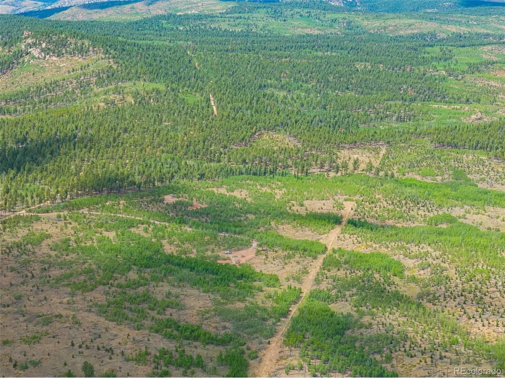2 County Road 51 Florissant, CO 80816