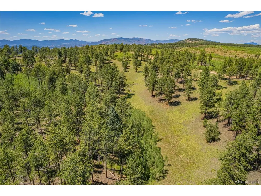 2 County Road 51 Florissant, CO 80816