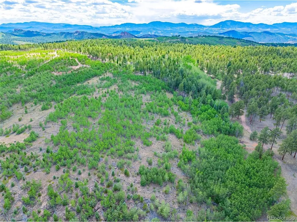 2 County Road 51 Florissant, CO 80816