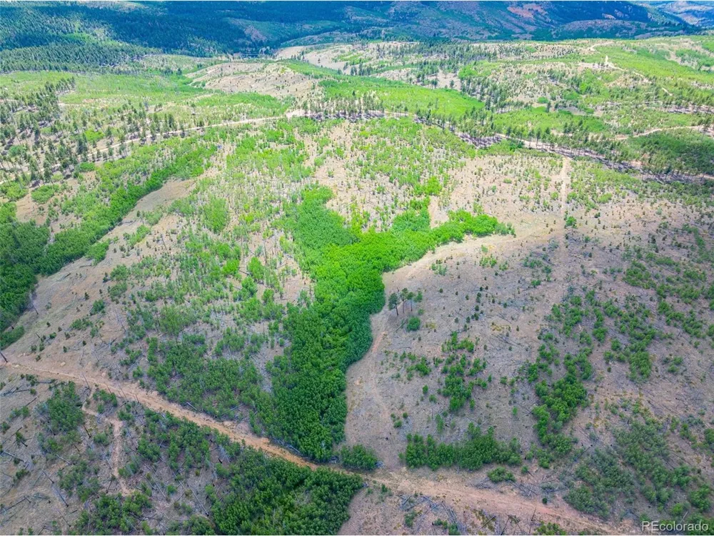 2 County Road 51 Florissant, CO 80816