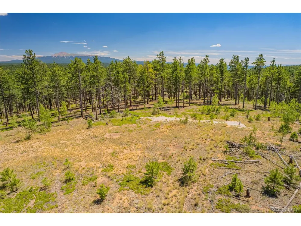 2 County Road 51 Florissant, CO 80816