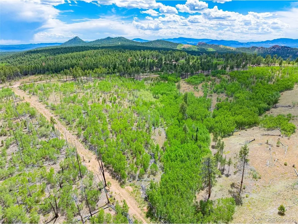 2 County Road 51 Florissant, CO 80816