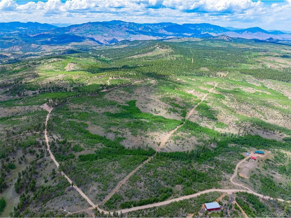 2 County Road 51 Florissant, CO 80816
