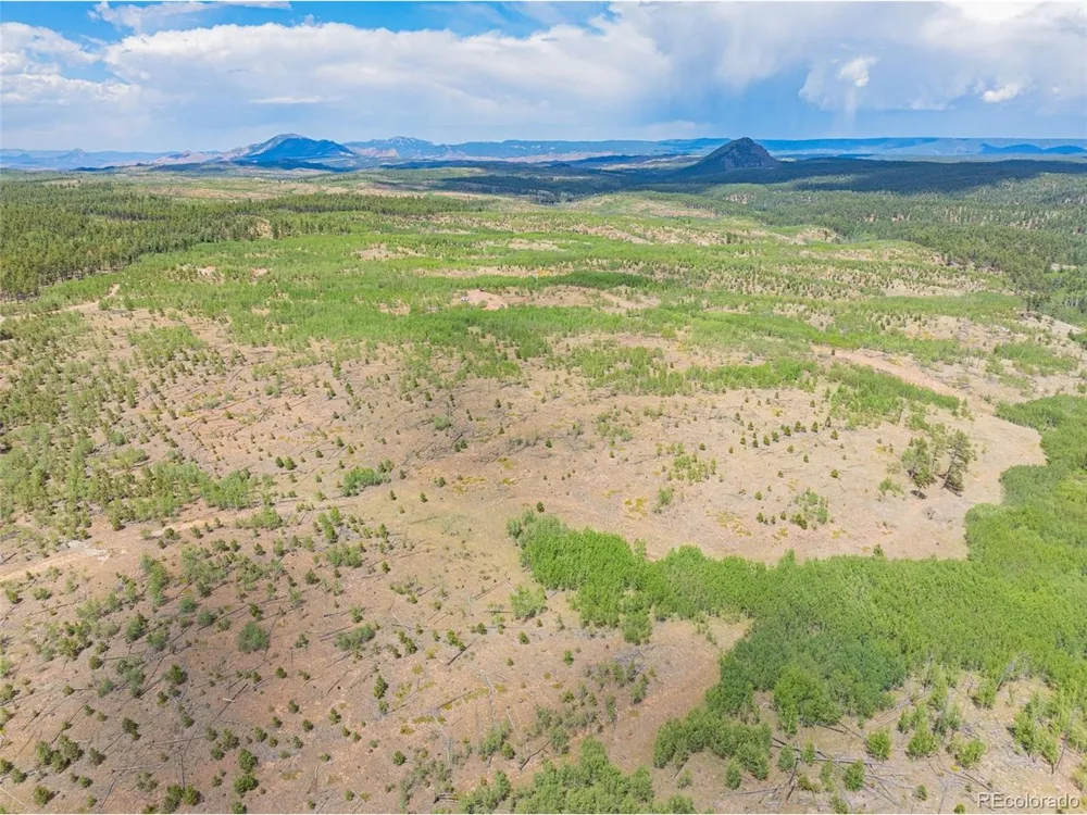 2 County Road 51 Florissant, CO 80816