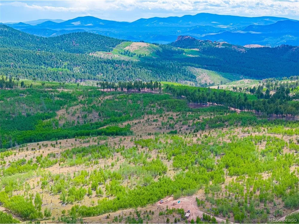 2 County Road 51 Florissant, CO 80816