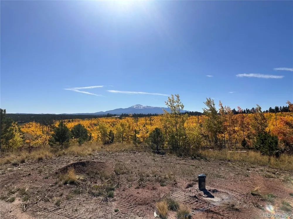 2 County Road 51 Florissant, CO 80816