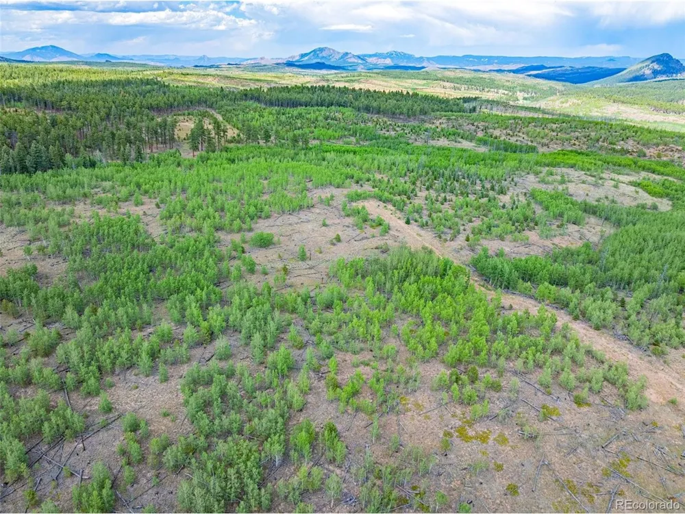 2 County Road 51 Florissant, CO 80816