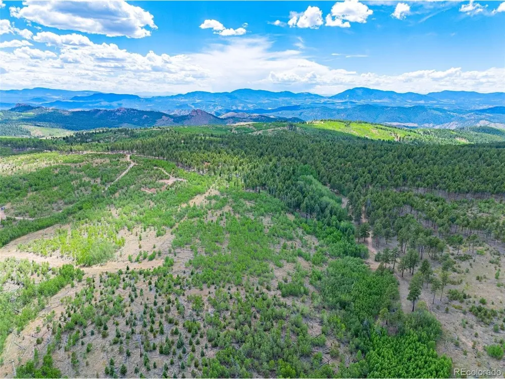 2 County Road 51 Florissant, CO 80816