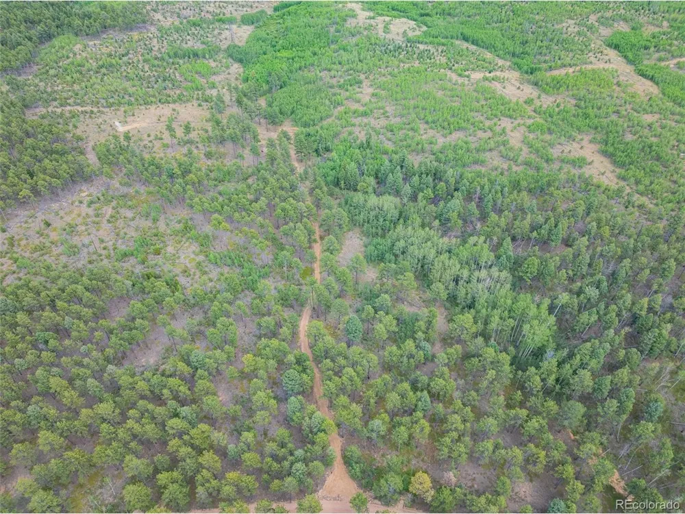 2 County Road 51 Florissant, CO 80816