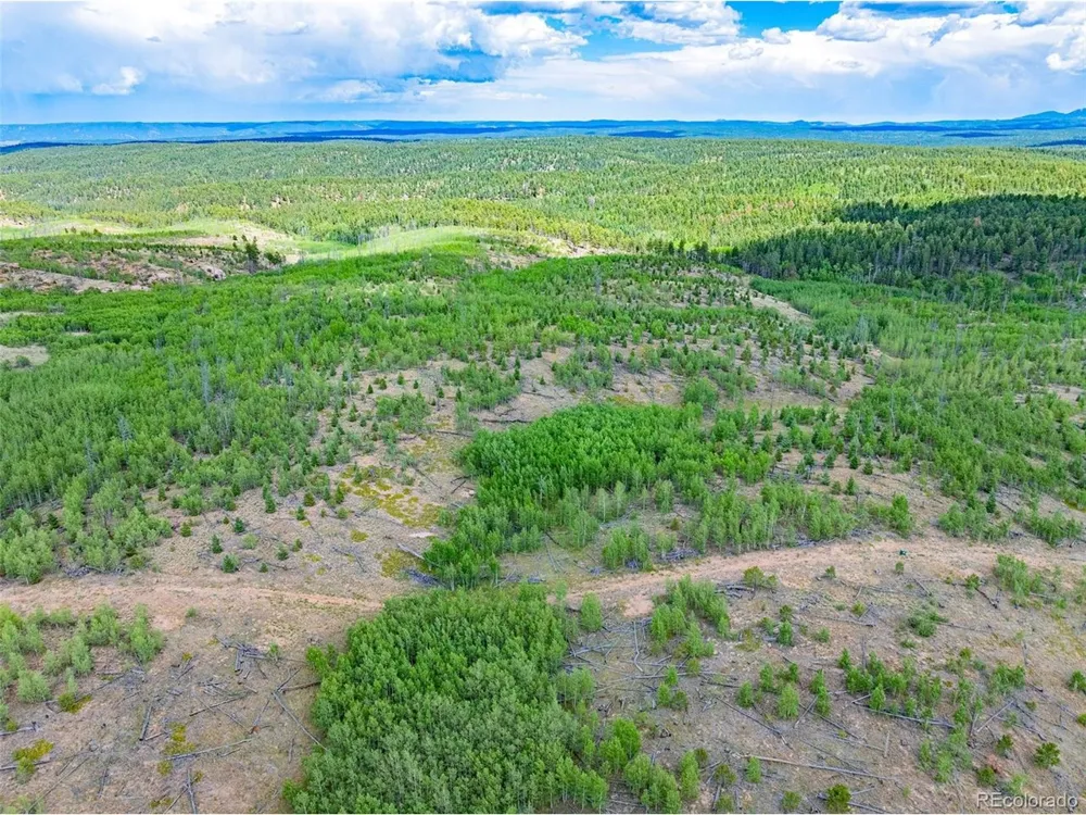 2 County Road 51 Florissant, CO 80816