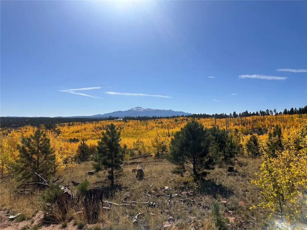 2 County Road 51 Florissant, CO 80816