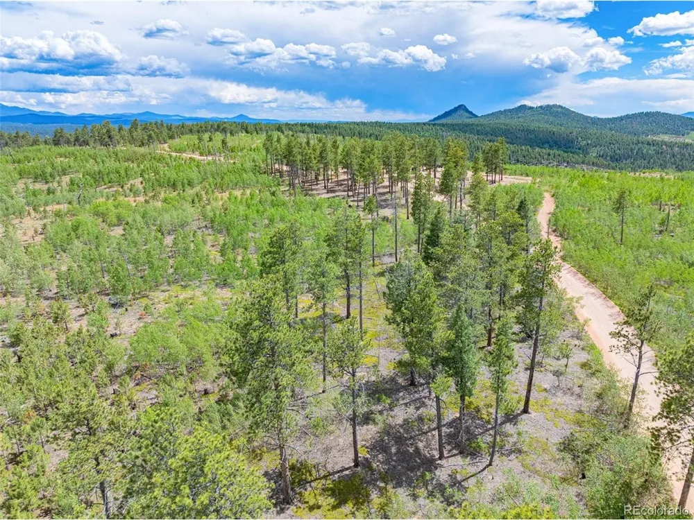2 County Road 51 Florissant, CO 80816