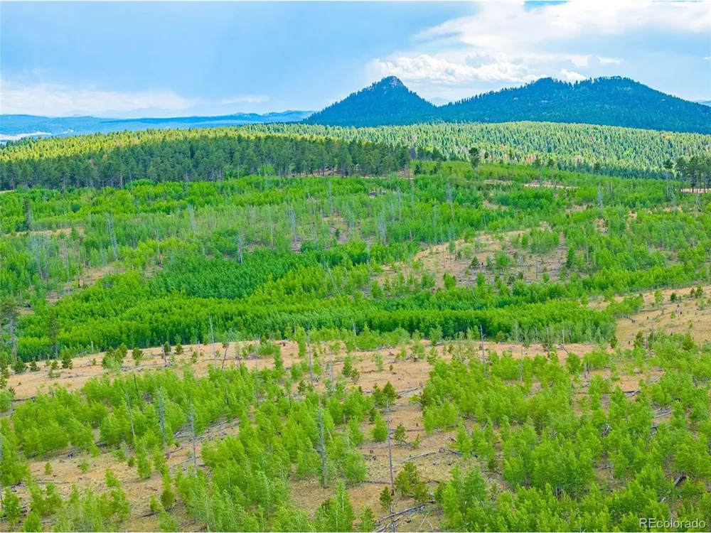 2 County Road 51 Florissant, CO 80816