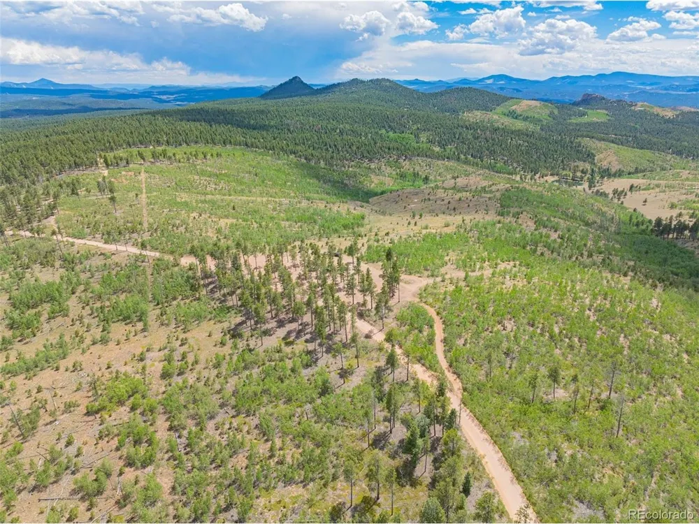 2 County Road 51 Florissant, CO 80816