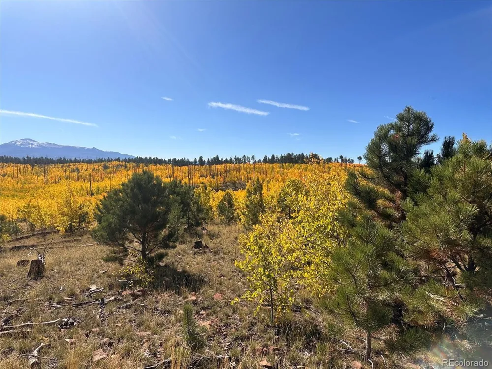 2 County Road 51 Florissant, CO 80816