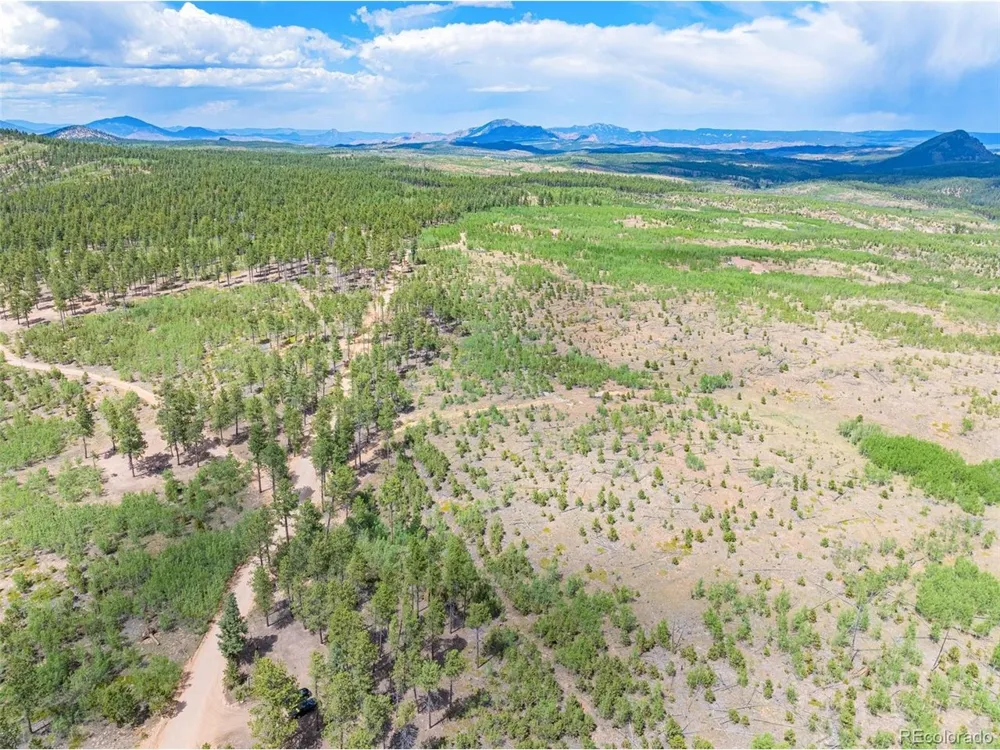 2 County Road 51 Florissant, CO 80816