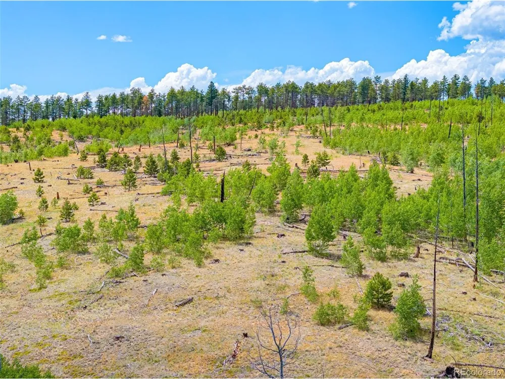 2 County Road 51 Florissant, CO 80816