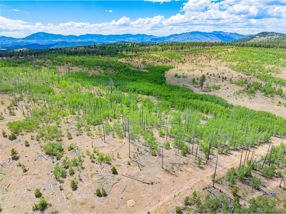 2 County Road 51 Florissant, CO 80816