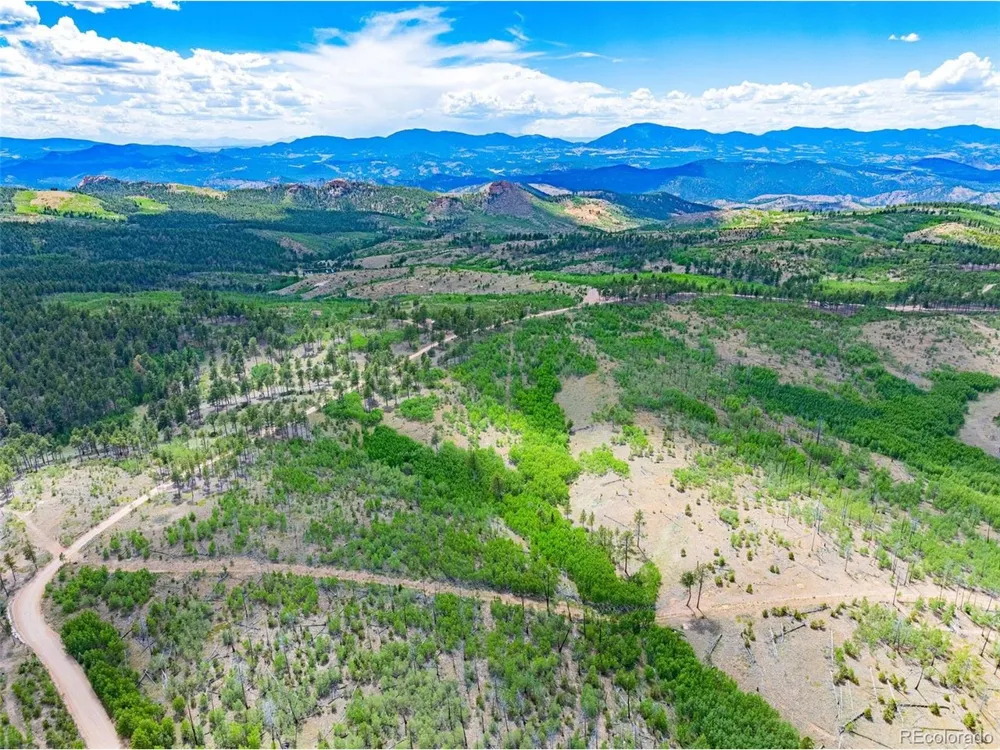 2 County Road 51 Florissant, CO 80816