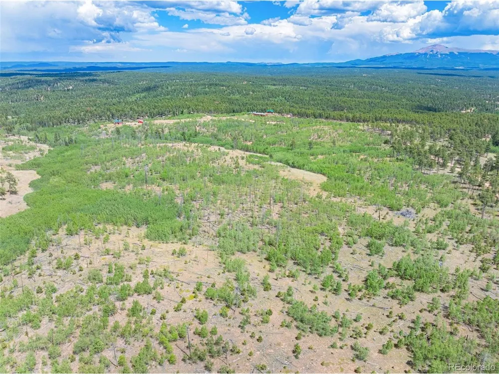 2 County Road 51 Florissant, CO 80816
