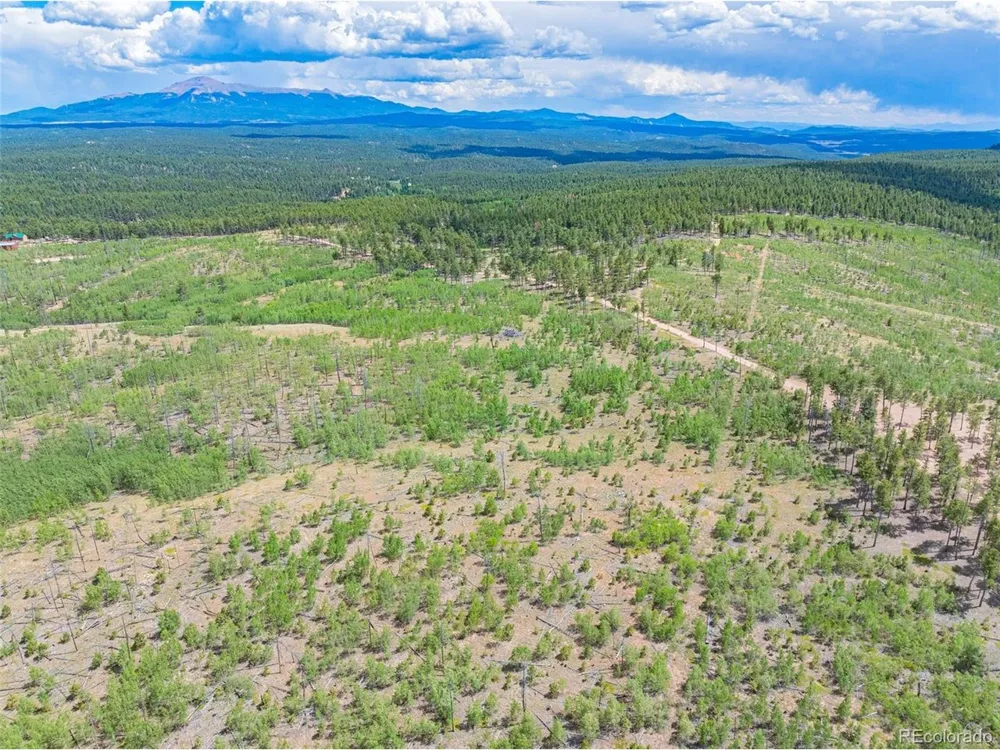 2 County Road 51 Florissant, CO 80816