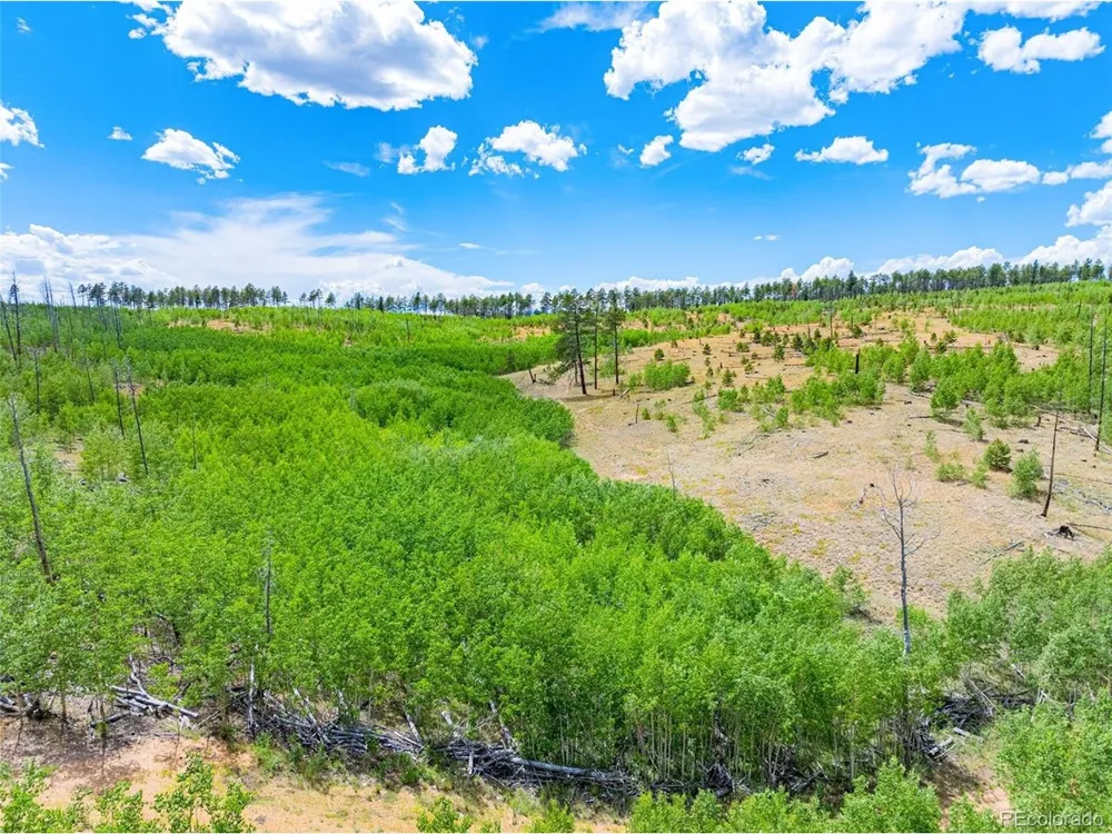2 County Road 51 Florissant, CO 80816