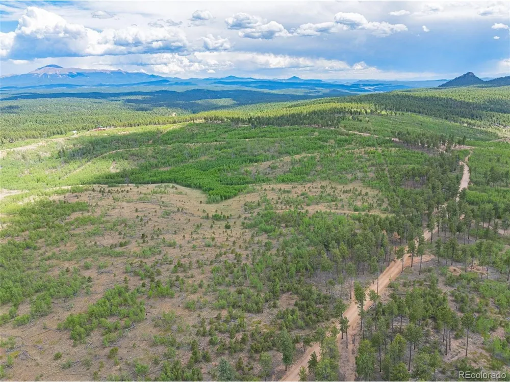 2 County Road 51 Florissant, CO 80816