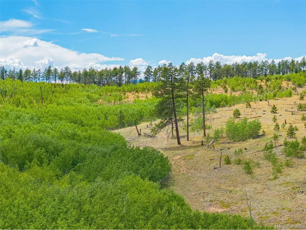 2 County Road 51 Florissant, CO 80816