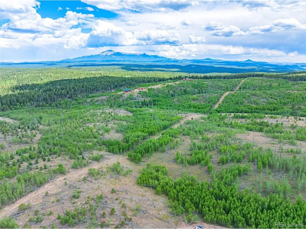 2 County Road 51 Florissant, CO 80816
