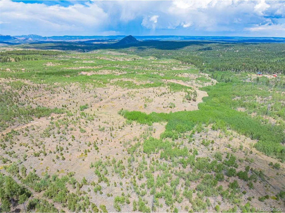 2 County Road 51 Florissant, CO 80816