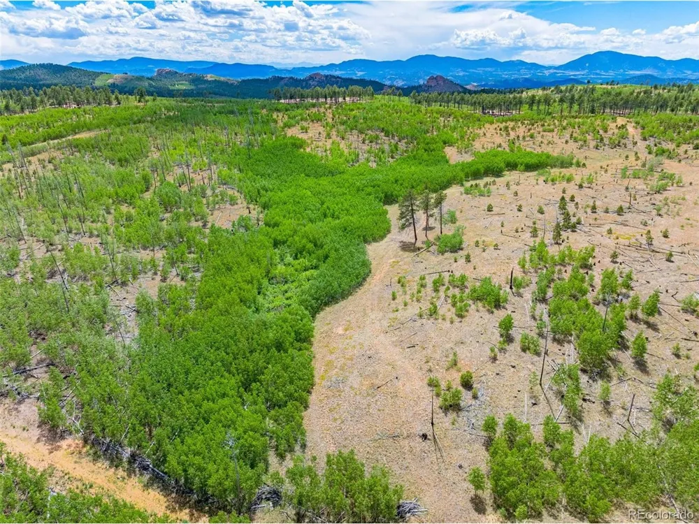 2 County Road 51 Florissant, CO 80816
