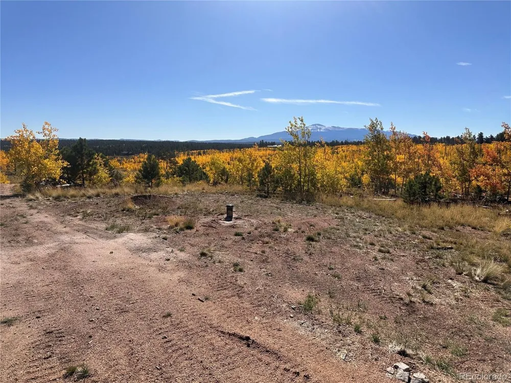 2 County Road 51 Florissant, CO 80816