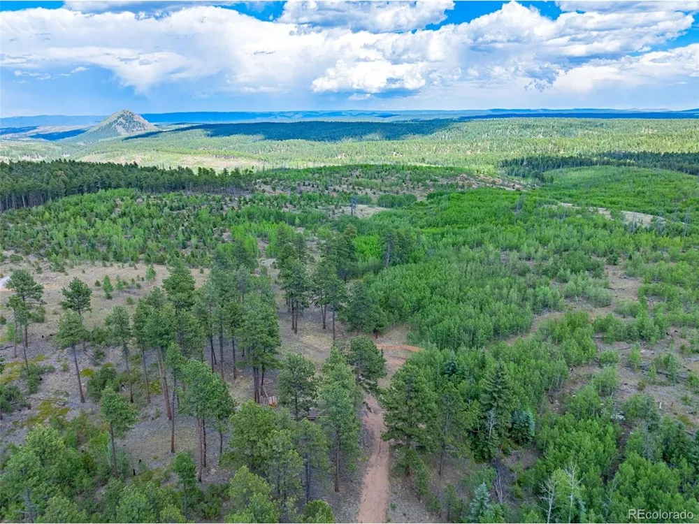4 County Road 51 Florissant, CO 80816