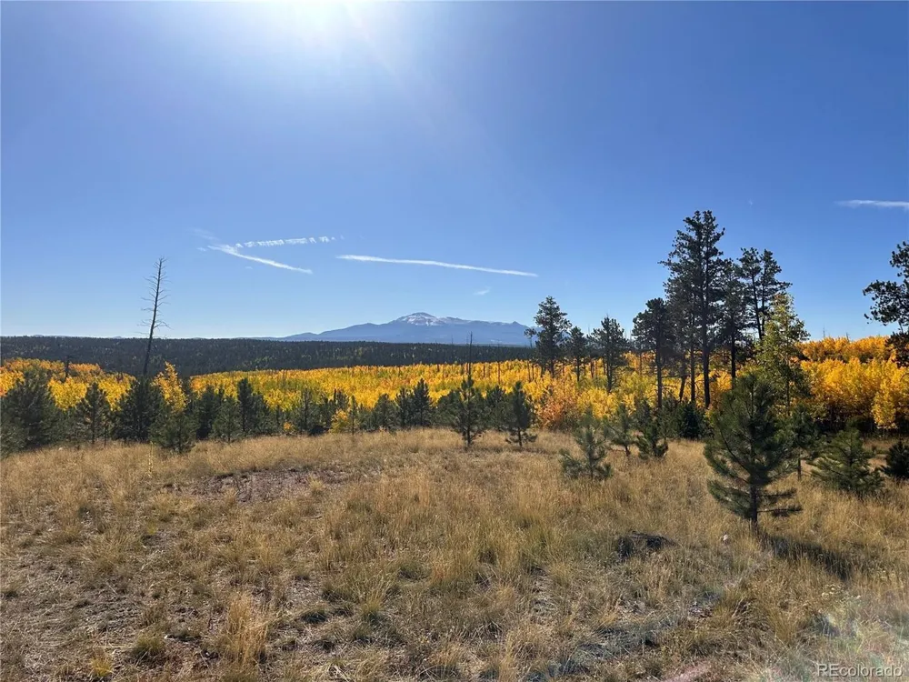 4 County Road 51 Florissant, CO 80816